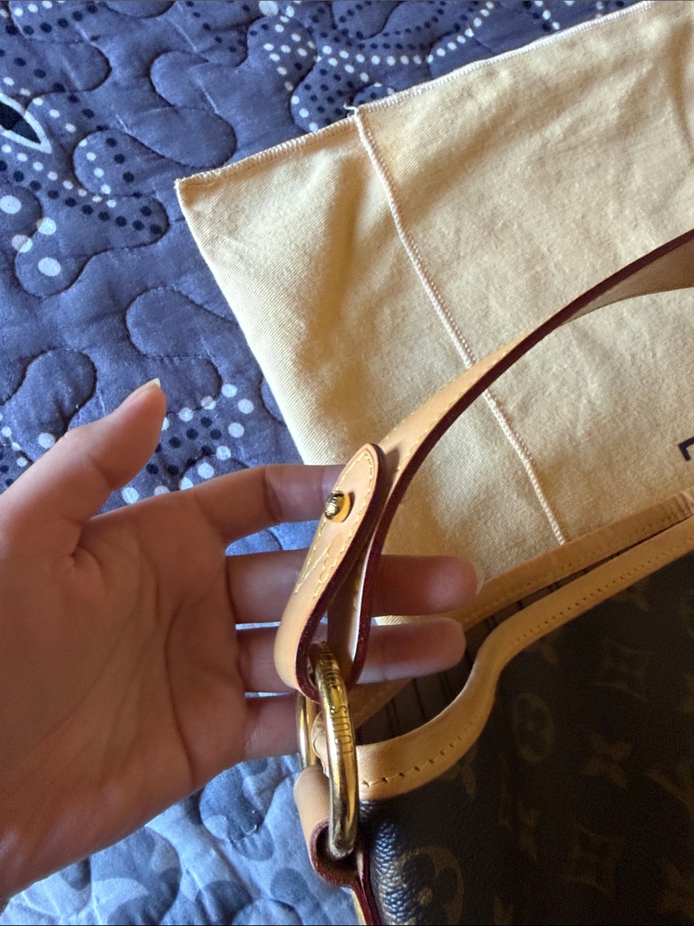 Louis Vuitton Delightful PM - Picture 10 of 15